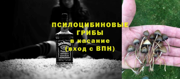 индика Чекалин