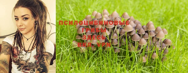 стафф Покровск