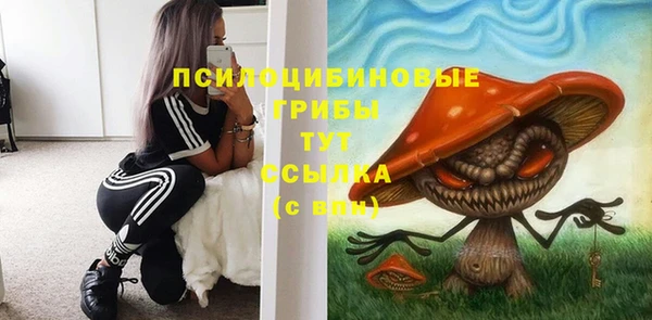 стафф Покровск