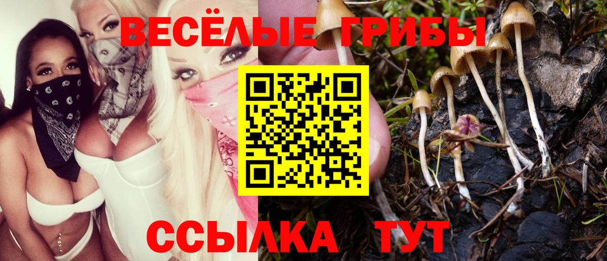 Галлюциногенные грибы MAGIC MUSHROOMS  Галлюциногенные грибы Magic Shrooms  Вход с VPN  Прохладный 