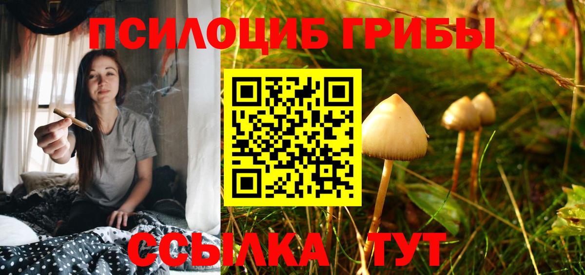 Псилоцибиновые грибы прущие грибы Прохладный
