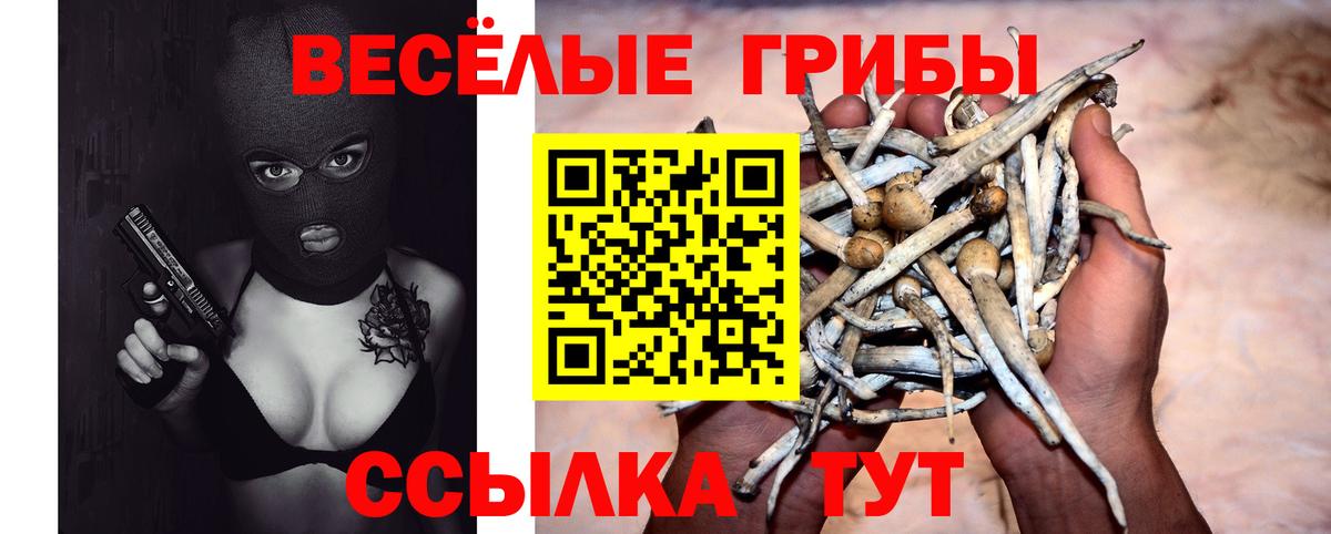 Псилоцибиновые грибы Cubensis  Прохладный  Галлюциногенные грибы ЛСД 