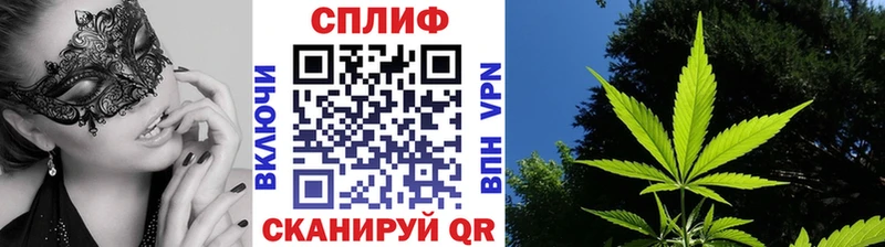 Бошки марихуана ГИДРОПОН Прохладный